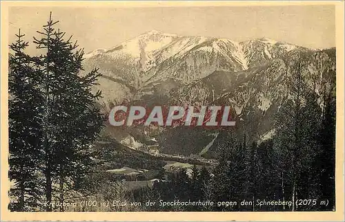 Cartes postales moderne Kreuzberg (1100 m) Blick von der Speckbacherhutte Gegen den Schneeberg (2075 m)