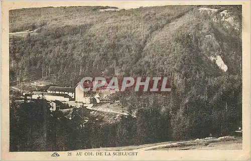 Cartes postales Au Col de la Schlucht
