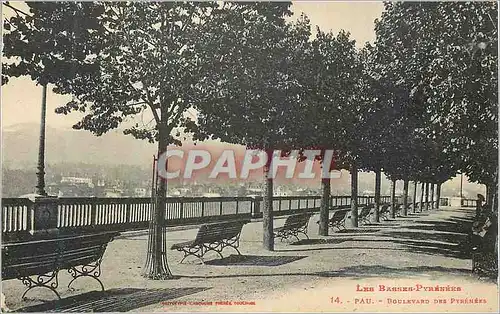 Cartes postales Pau Les Basses Pyrenees Boulevard des Pyrenees