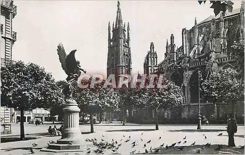 Cartes postales moderne Bordeaux (Gironde) Les Pigeons de la Cathedrale