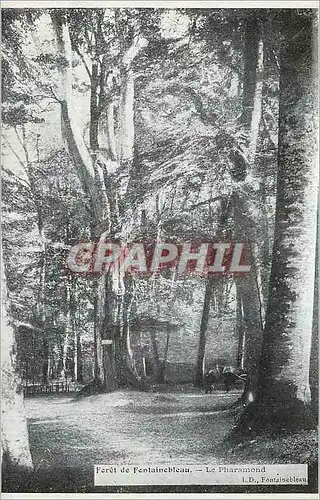 Cartes postales Foret de Fontainebleau Le Pharamond