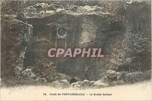 Ansichtskarte AK Foret de Fontainebleau La Grotte Colinet