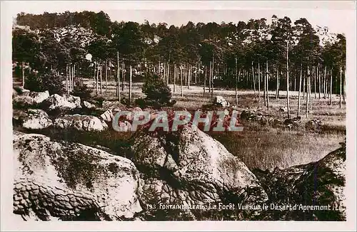 Cartes postales moderne Fontainebleau La Foret Vue sur le Desert d'Apremont