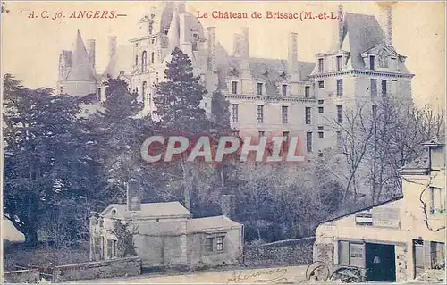Cartes postales Angers Le Chateau de Brissacs (M et L)