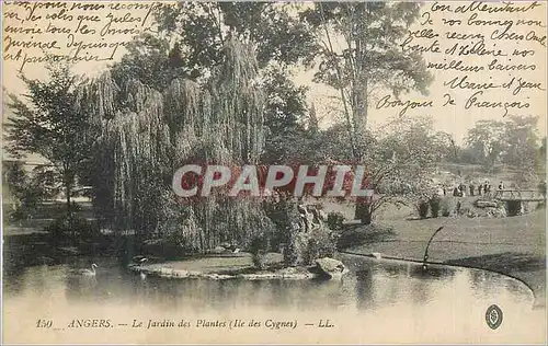 Cartes postales Angers Le Jardin des pLLLANCE (Ile des Cygnes