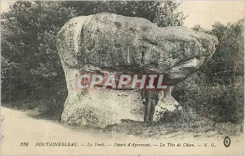 Cartes postales Fontainebleau La Foret Desert d'Apremont La Tete de Chien