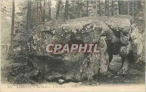 Cartes postales Barbizon la Foret L'Elephant