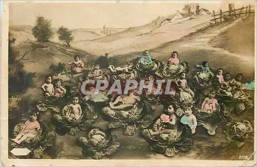 Cartes postales Fantaisie Enfants dans les choux