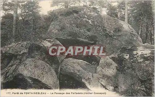 Cartes postales Foret de Fontainebleau Le Passage des Fariadets (Rocher Cassepot)