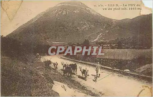 Cartes postales Le Puy vu du Pied (alt 1465 m)