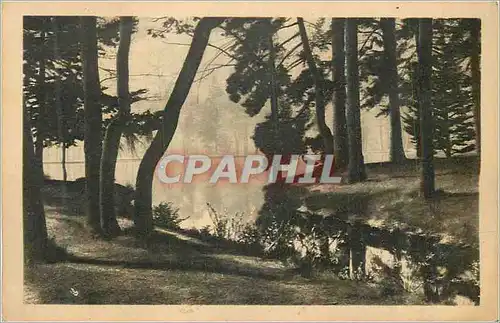 Cartes postales Paris Pittoresque Un Coin du Bois de Boulogne