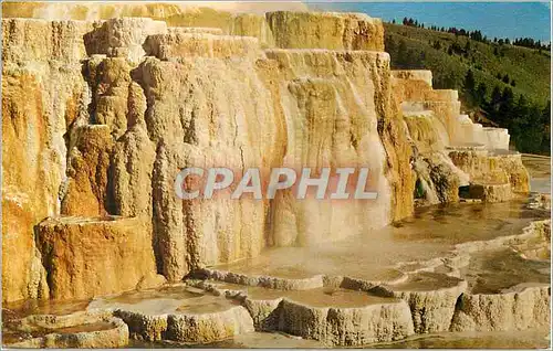 Cartes postales moderne Yellowstone National Park Minerva Terrace