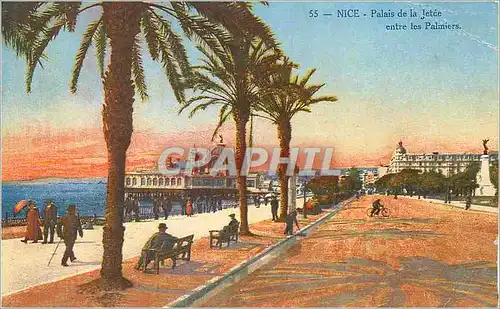 Cartes postales Nice Palais de la Jetee entre les Palmiers