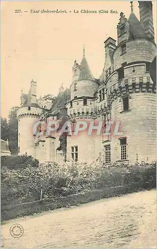 Cartes postales Usse (Indre et Loire) Le Chateau (Cote Est)