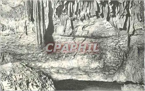 Cartes postales moderne Grottes d'Arcy sur Cure (Yonne) Le Vallot et la Braperie