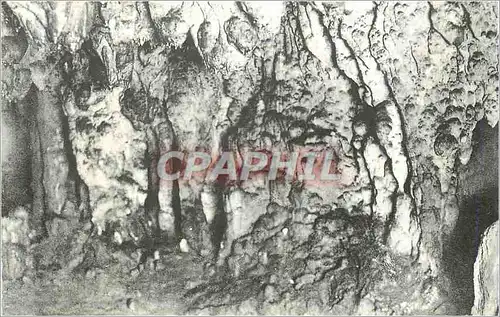 Cartes postales moderne Grottes d'Arcy sur Cure (Yonne) Les Mille Colonnes