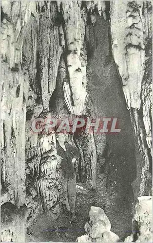 Cartes postales moderne Grottes d'Arcy sur Cure (Yonne) Le Salon Gothique