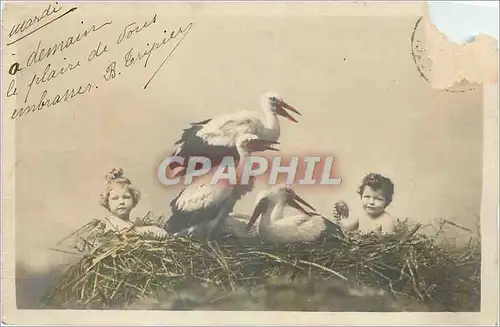 Cartes postales Enfants Cigognes