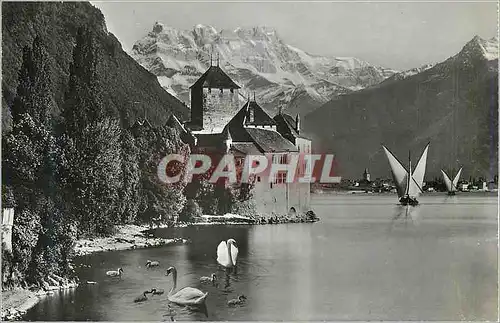 Cartes postales moderne Lac Leman Chateau de Chillon et les Dents du Midi Bateau Cygnes