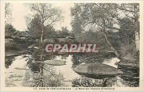 Ansichtskarte AK Foret de Fontainebleau La Mare aux Pigeons (Franchard)