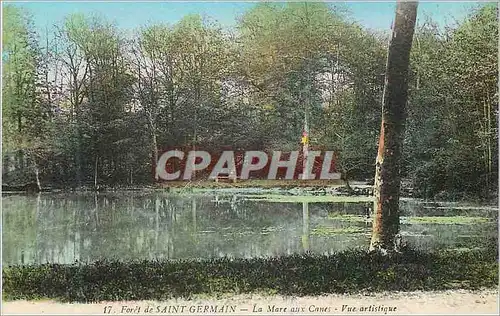 Cartes postales Foret de Saint Germain La Mare aux Canes Vue Artistique