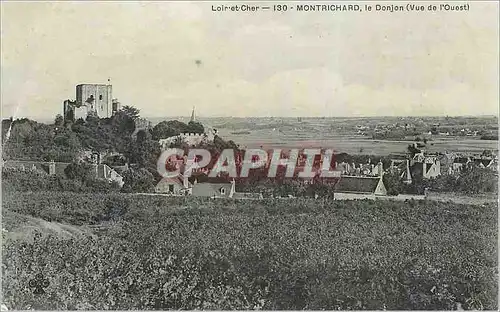 Ansichtskarte AK Montrichard Loire et Cher Le Donjon (Vue de l'Ouest)