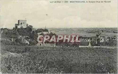 Cartes postales Montrichard Loire et Cher Le Donjon (Vue de l'Ouest)