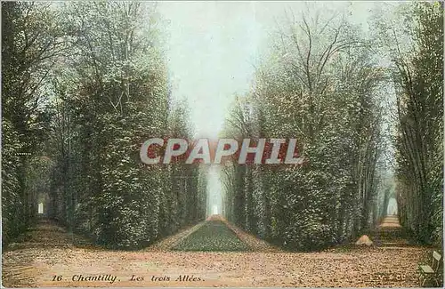 Cartes postales Chantilly Les Trois Allees