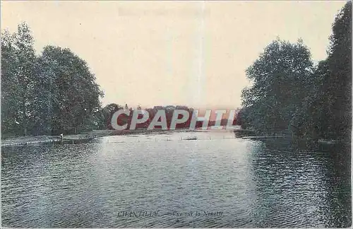 Cartes postales Chantilly vue sur le Navette
