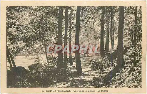 Ansichtskarte AK Servoz (Hte Savoie) Gorges de la Diozaz La Diozaz