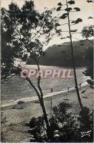 Cartes postales moderne Le Rayol (Var) La Plage