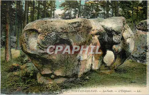 Ansichtskarte AK Fontainebleau La Foret L'Elephant