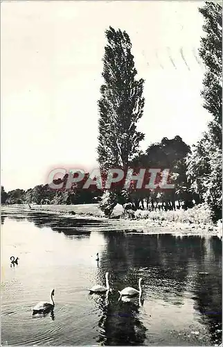 Cartes postales moderne Le Chateau de Chantilly (Oise) Le Parc Le Grand Canal