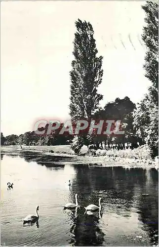 Moderne Karte Le Chateau de Chantilly (Oise) Le Parc Le Grand Canal