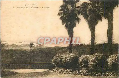 Ansichtskarte AK Pau Le Boulevard et la Chaine des Pyrenees