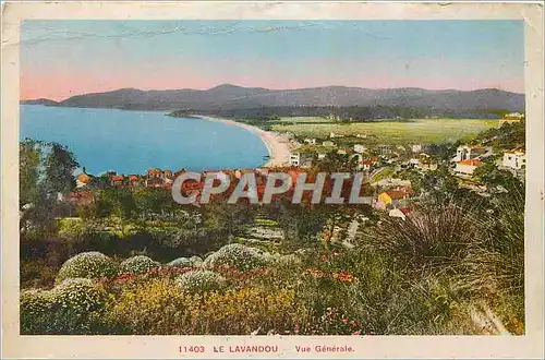 Cartes postales Le Lavandou Vue Generale