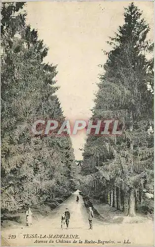 Cartes postales Tesse la Madeleine Avenue du Chateau de la Roche Bagnoles