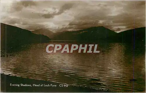 Cartes postales Evening Shadows Head of Loch Fyne