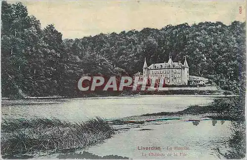 Cartes postales Liverdun La Moselle Le Chateau