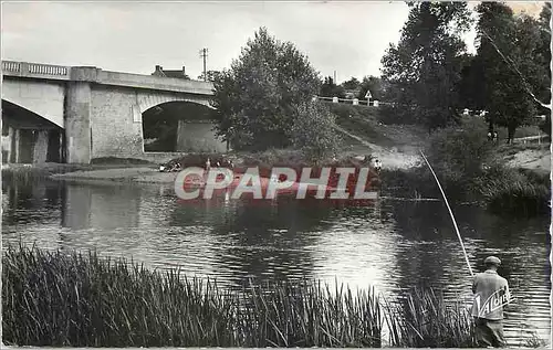 Cartes postales moderne Villefranche sur Cher (Loir et Cher) La Vallee du Cher La Baignade sur le Cher et le Pont de Sai