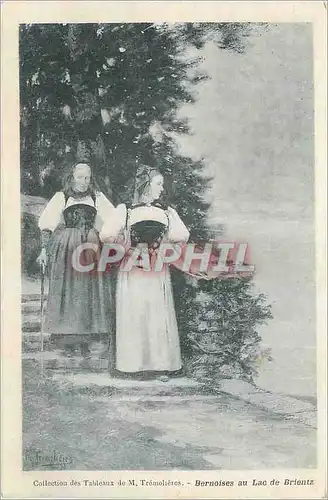 Cartes postales Bernoises au Lac de Brientz