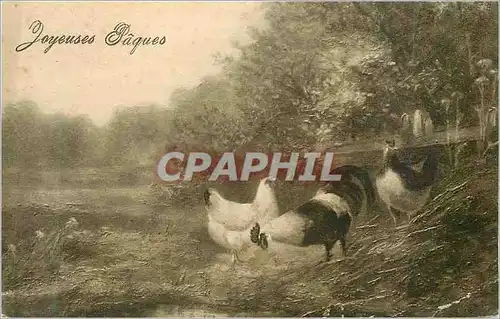 Cartes postales Joyeuses P�ques coq poules