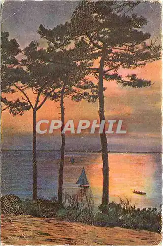 Cartes postales Moulleau Arcachon (Gironde) La Douce France Les Abatiales