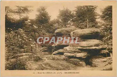Cartes postales Mont Ste Odile (Alt 763 m) Beckenfelsen