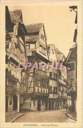 Cartes postales Strasbourg Bain aux Plantes