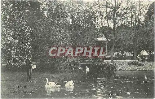 Cartes postales Tours Jardin des Prehendes Cygnes