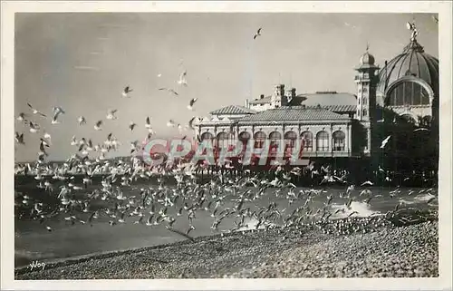 Cartes postales moderne Nice Cote d'Azur La Douce France Vol de Mouettes