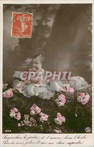 Cartes postales Surpris dans le Jardin a l'Aurore dans l'Herbe Pres des Roses