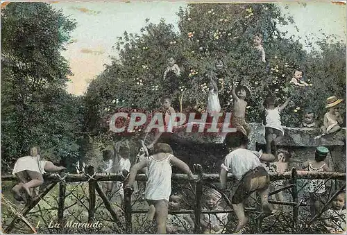 Cartes postales La Maraude