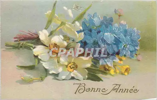 Cartes postales Bonne Annee